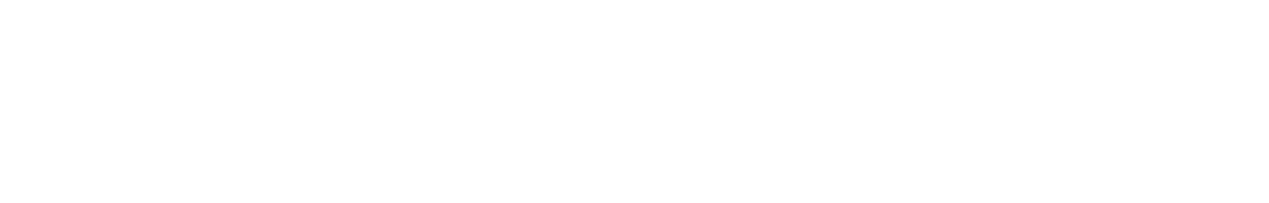 TikTok Commerce